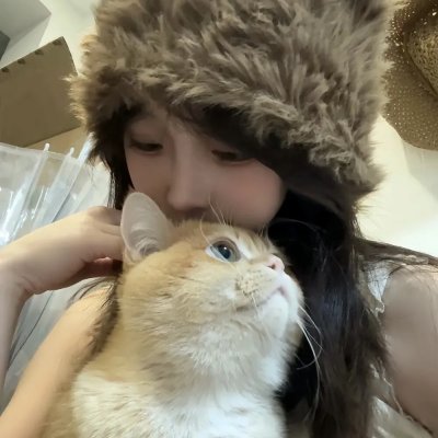 我们停战吧